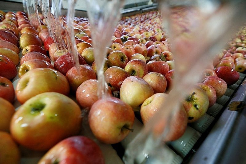 Краснодарский край планирует компенсировать объем запрещенных на ввоз из Китая фруктов 