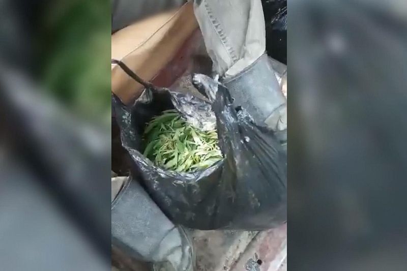 В Краснодарском крае полицейские нашли у пассажира остановленной машины 600 граммов марихуаны