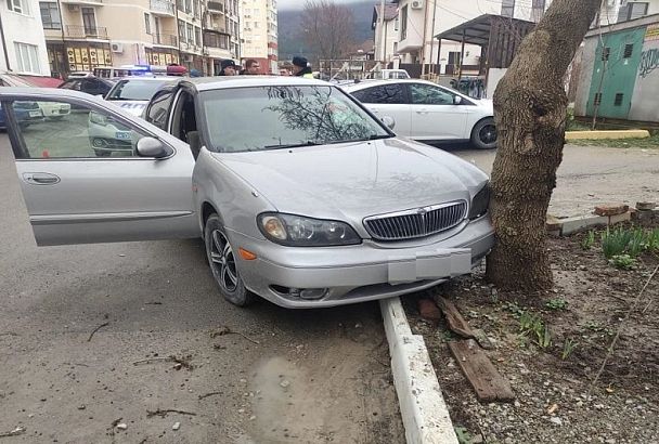 В Геленджике погиб пассажир врезавшейся в дерево иномарки
