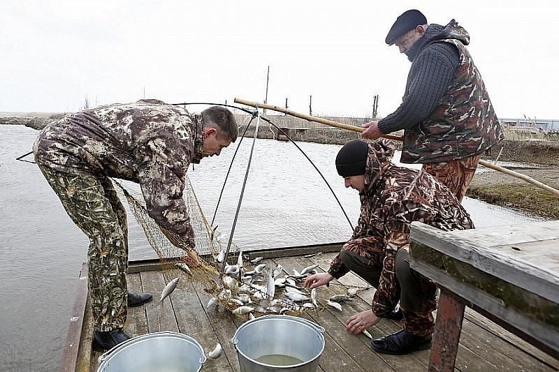 Восстановятся ли рыбные запасы Азовских лиманов