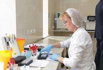 Активную работу проводят в Краснодарском крае по борьбе с вирусным гепатитом
