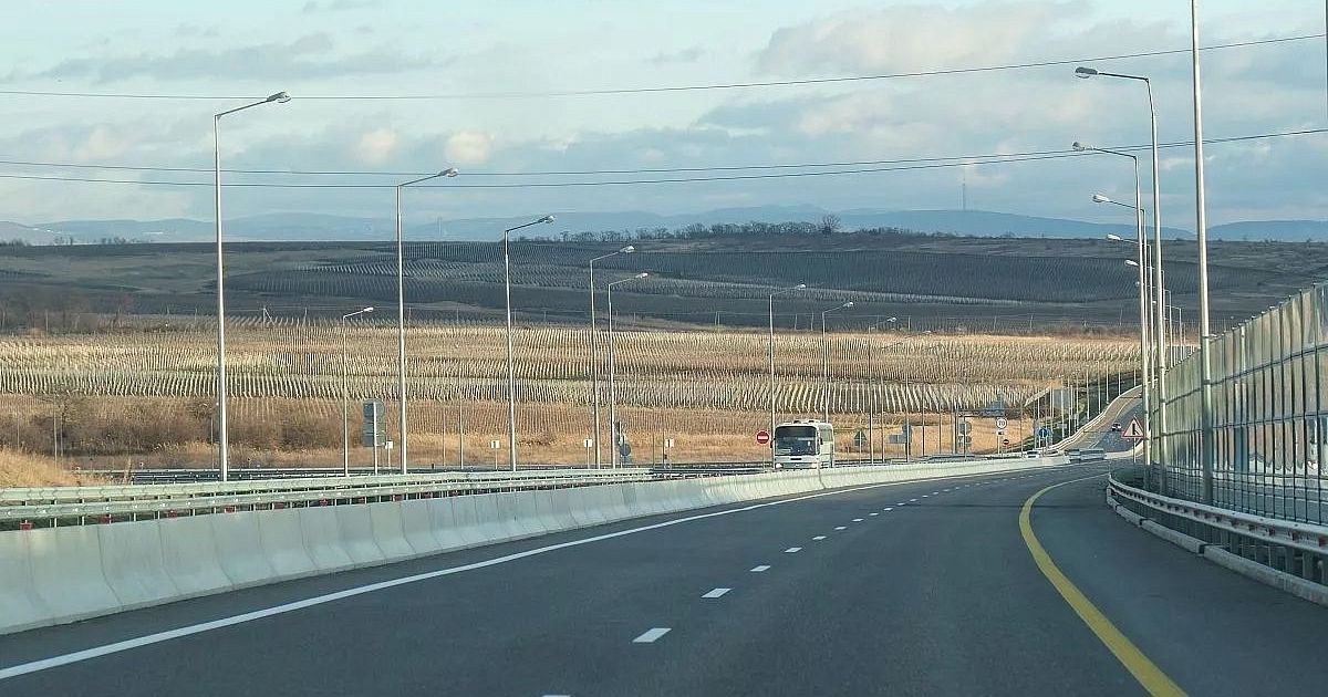 Дик пен кисканың үлкен жоспары