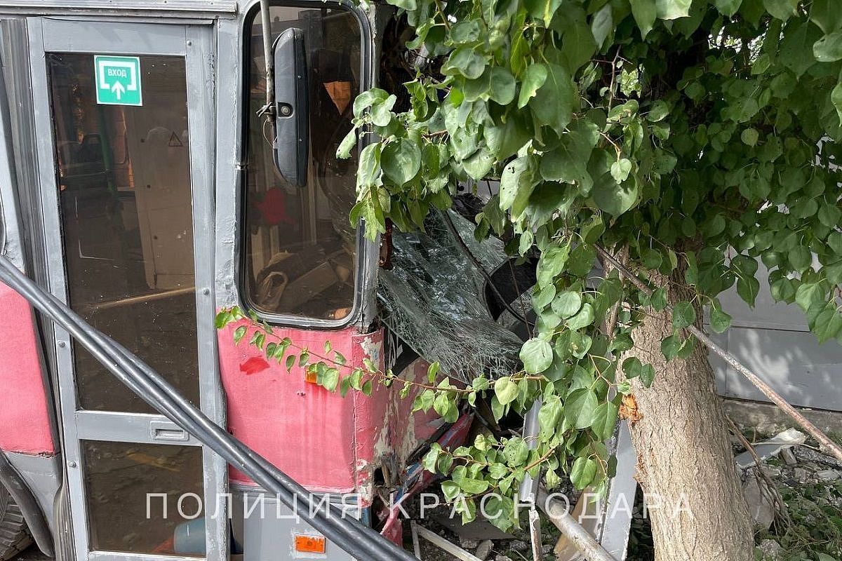 Троллейбус врезался в дерево после столкновения с легковушкой в Краснодаре. Есть пострадавшие