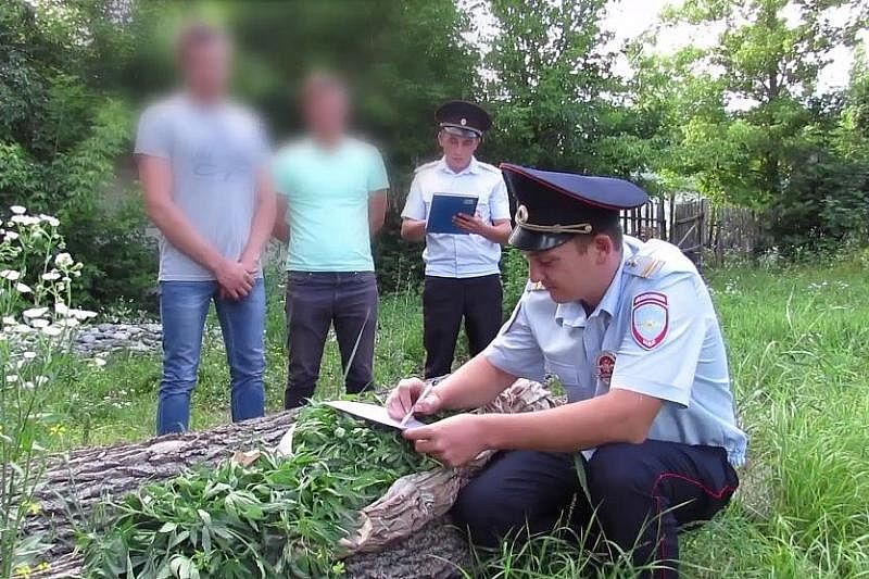В Краснодарском крае двое мужчин варили наркотики в лесополосе