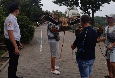 Еще пять орлов изъяли полицейские у фотографов-живодеров в Анапе