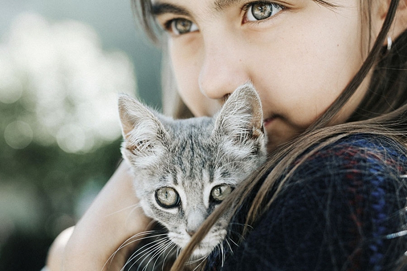 Аллергия на кошек: восемь способов борьбы