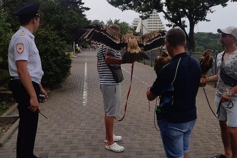Еще пять орлов изъяли полицейские у фотографов-живодеров в Анапе
