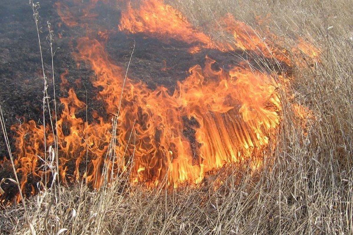 В Краснодаре ввели особый противопожарный режим