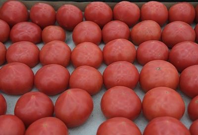 Более 14,5 тыс. тонн импортных овощей поступило под контролем Россельхознадзора на Кубань в декабре