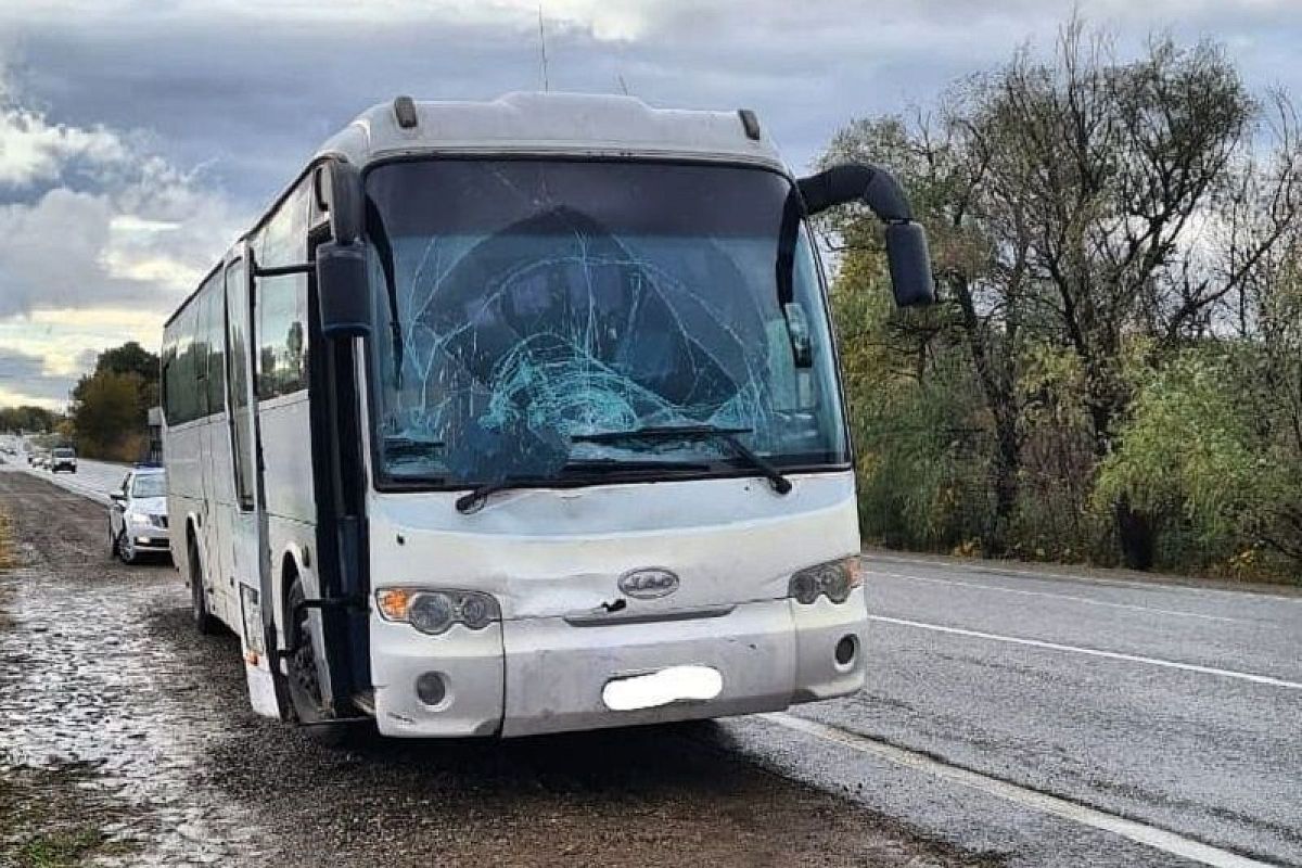 Водитель на автобусе сбил насмерть 28-летнего мужчину