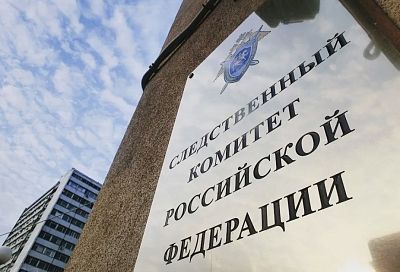 СК России предупреждает об ответственности участие в несанкционированных акциях