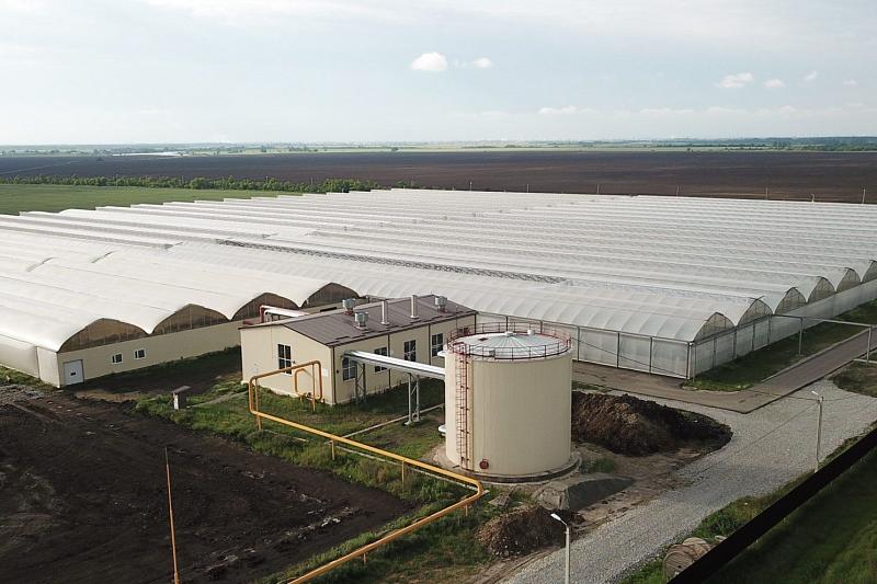 Власти Краснодарского края хотят ввести льготные тарифы на энергоресурсы для аграриев