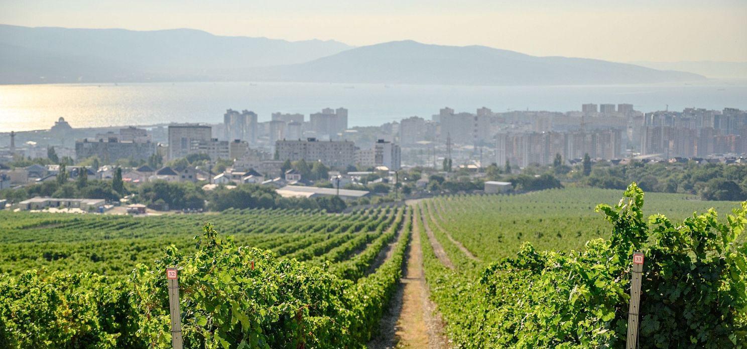 Антон Приходько