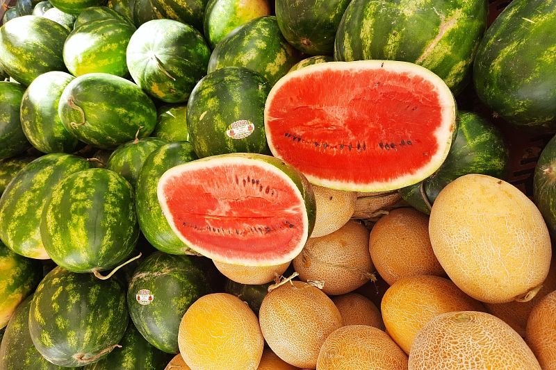Диетолог сравнила пользу арбуза и дыни и назвала менее калорийный плод