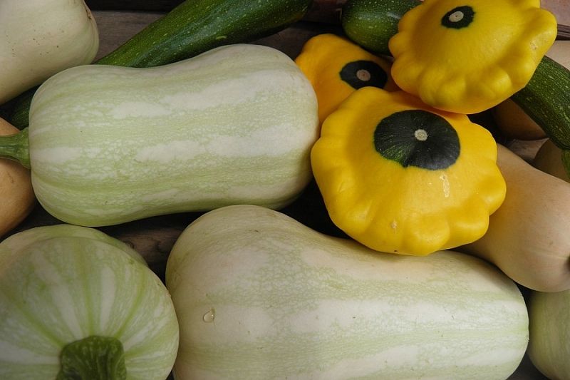Какие овощи и фрукты принесут максимальную пользу здоровью в июне