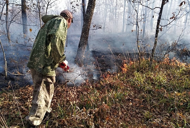 В Краснодарском крае 17 ноября потушили два лесных пожара