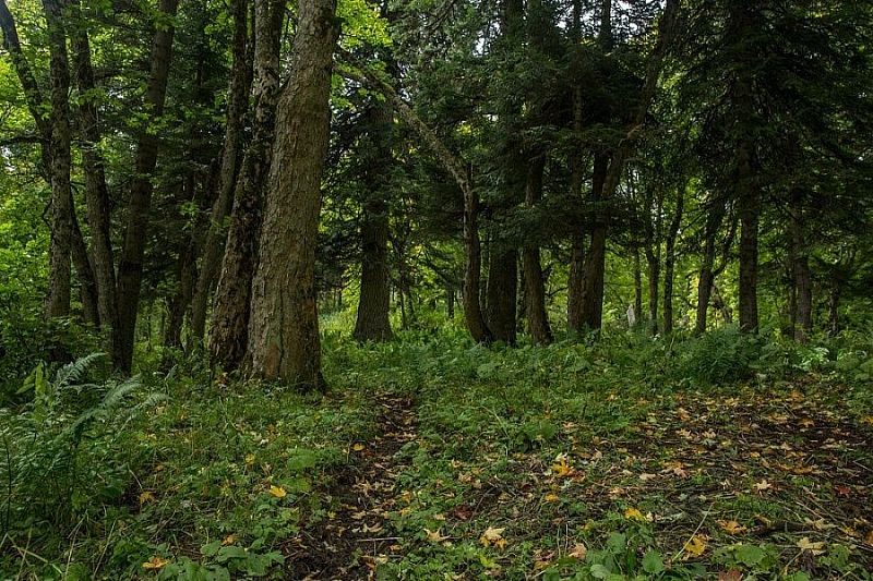 Время «зеленых» перемен: в Краснодарском крае создано 358 особо охраняемых природных территорий