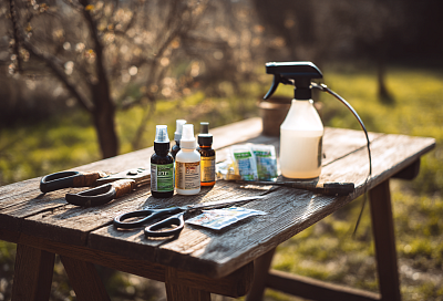 Почему этой весной вредителей в саду будет особенно много и что делать