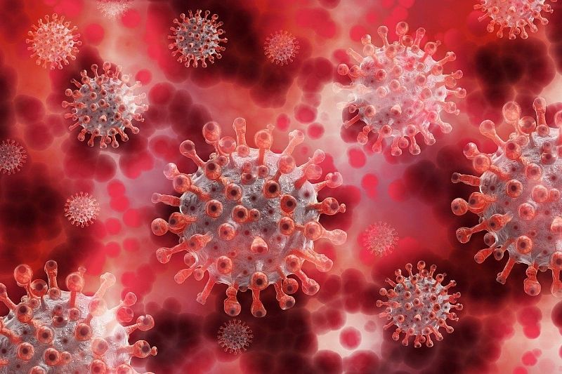 «Омикрон» вышел на второе место в мире среди вирусов по заразности