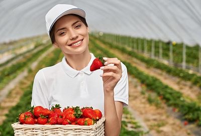 Первые ранние плоды – ягоды и фрукты могут вредить мозгу