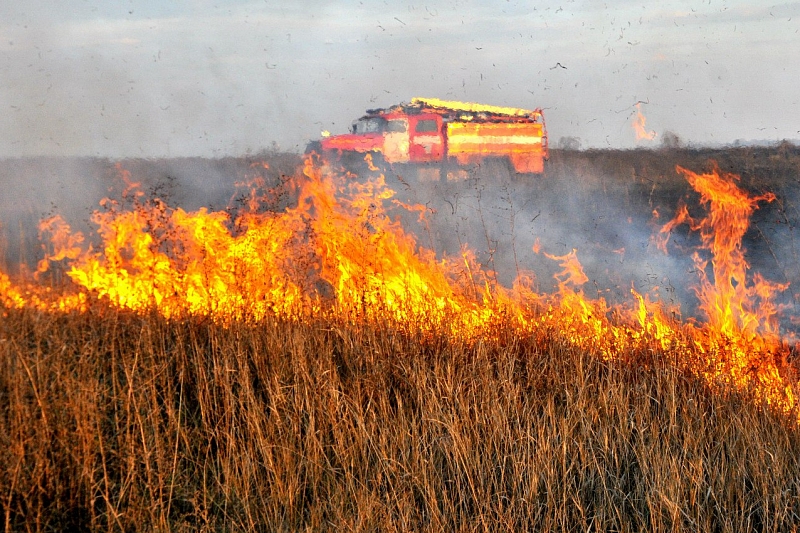 В 39 муниципалитетах Краснодарского края действует особый противопожарный режим