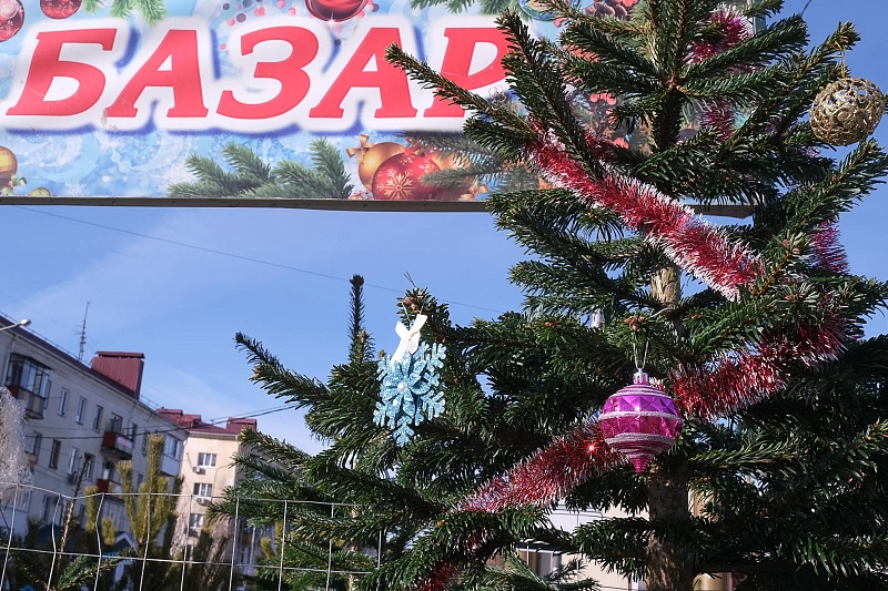 В Краснодарском крае полицейские устроили облаву на нелегальных торговцев елками