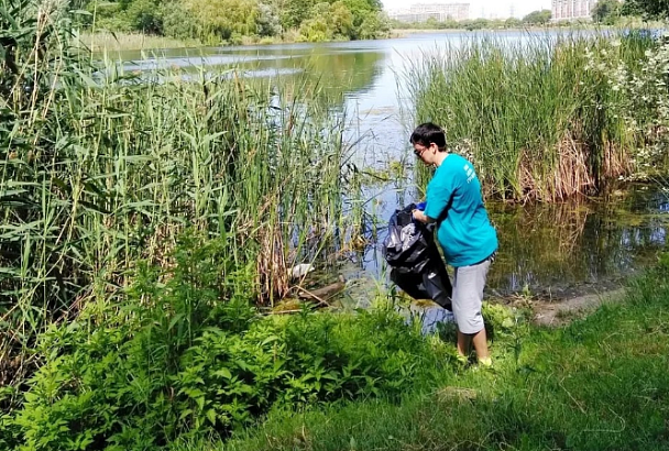 Краснодарские волонтеры очистят от мусора улицу в Прикубанском округе