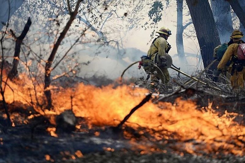 В Северском районе почти 400 человек тушат три лесных пожара