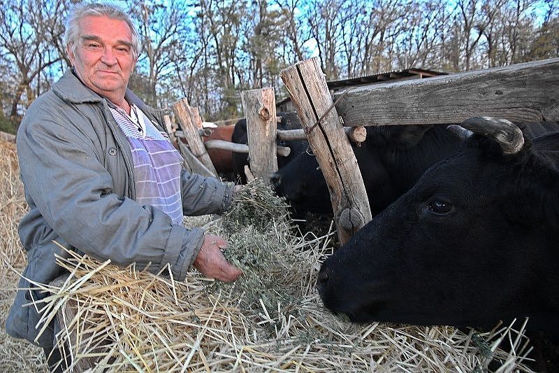 Почему фермера из Каневского района уже 20 лет называют Робинзоном