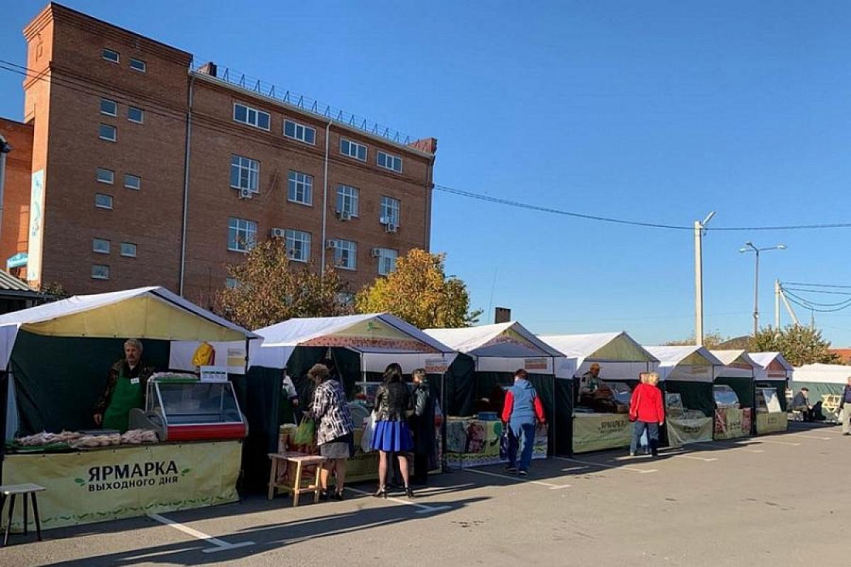 В октябре в Краснодарском крае проведут 86 ярмарок выходного дня