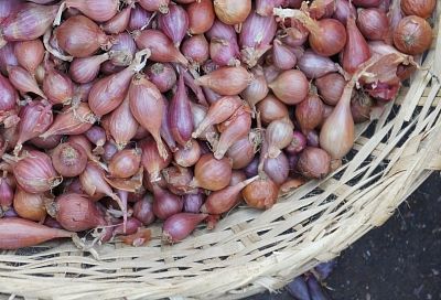 Сначала прогреваю лук, затем высаживаю на грядке - секреты, которые помогут получить завидный урожай