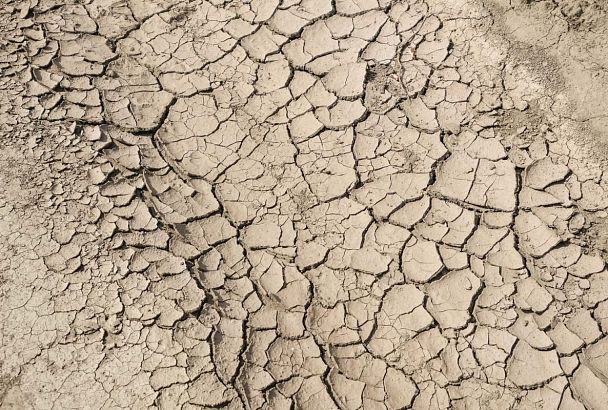 Синоптик Вильфанд предупредил о засухе в Краснодарском крае