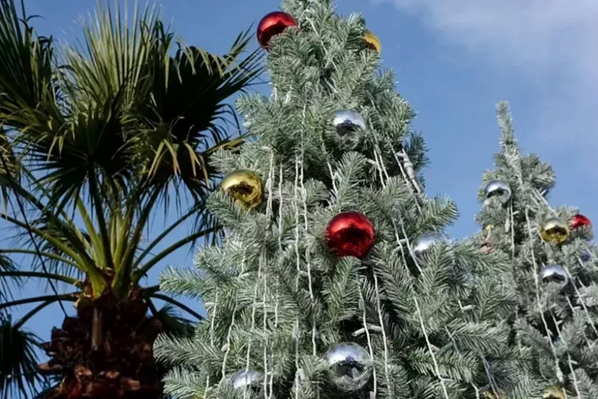 Сочи возглавил топ самых популярных у туристов городов России в новогодние праздники