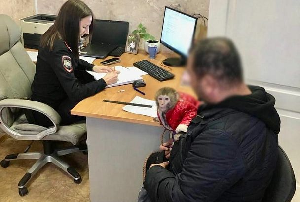 В Новороссийске задержали фотографа за нелегальные съемки с обезьяной