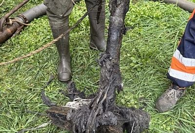 Парковочный столб достали из канализации в Краснодаре при расчистке засора