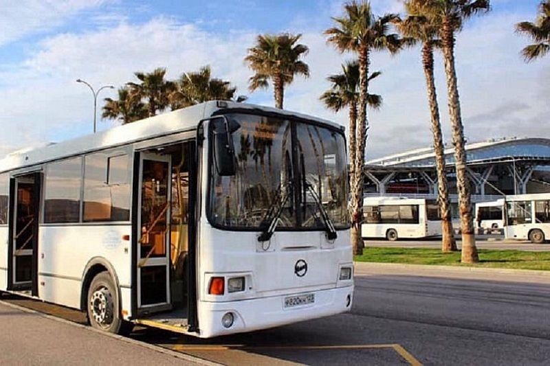 В большинстве автобусов Сочи введена безналичная оплата
