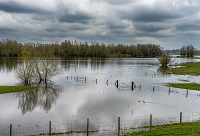 Ученые создали ИИ-консультанта для помощи жителям при паводках