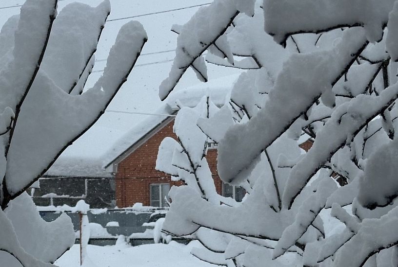 Сильный снег и гололед. В Краснодарском крае продлили штормовое предупреждение