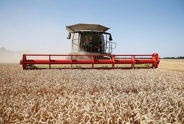 В Краснодарском крае стартовала уборка зерновых