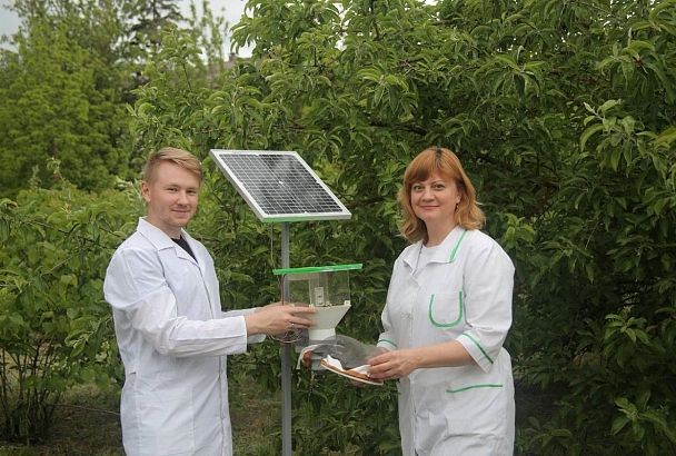 Цифровой дозор: как нейросети помогают защищать урожай   