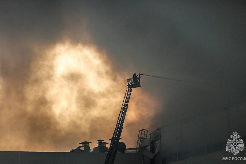 Сотрудник Wildberries грозился сжечь склад компании в Шушарах за две недели до пожара