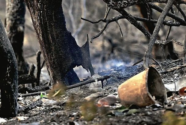 До 10 лет колонии: что ждет виновников лесных пожаров