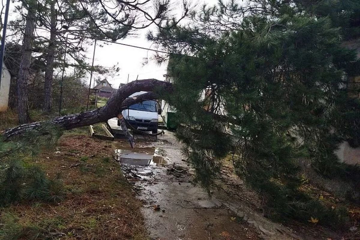 Пять человек погибли и 12 пострадали в результате шторма в Крыму