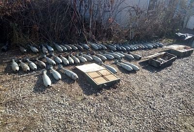 Казаки из отряда «Кубань» обнаружили склад боеприпасов ВСУ