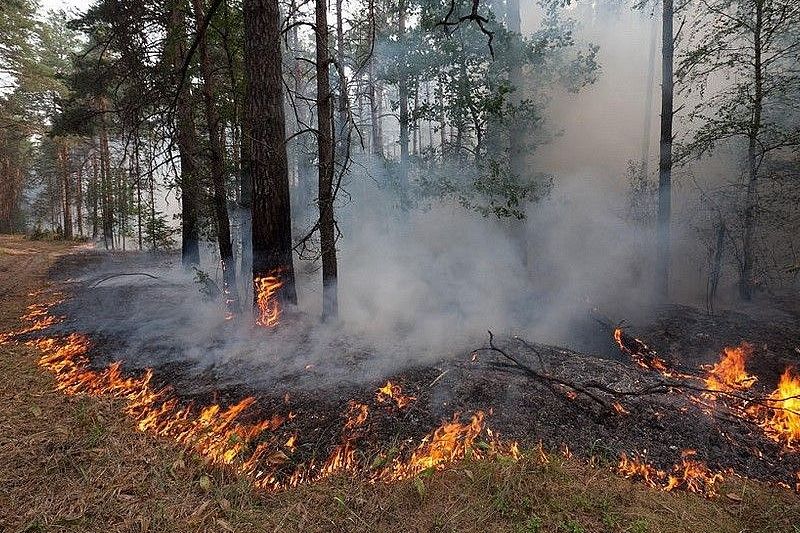В Краснодарском крае тушат четыре природных пожара