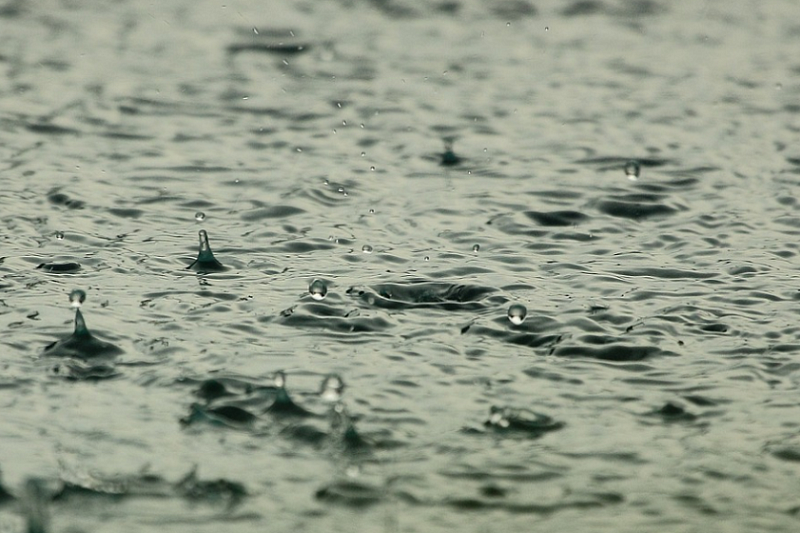 Сильные грозовые дожди ударят по Кубани в ближайшие дни