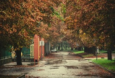 На пять-семь градусов остудят дожди воздух в Краснодарском крае 