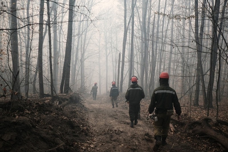 В Краснодарском крае продолжают тушить лесные пожары