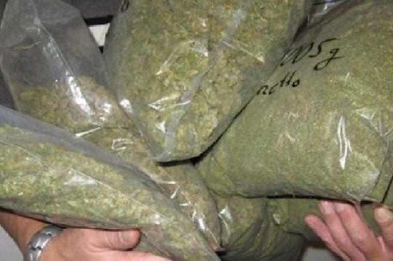 У двух жителей Краснодарского края обнаружили более 6 кг марихуаны  