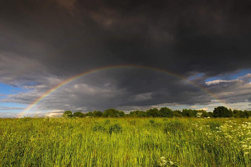 12 июня в Краснодарском крае прогнозируют дожди и грозы